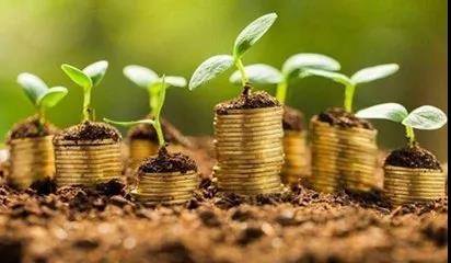 1547194489128415.jpg 1542702716191792.jpg